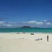 Hawaiian☆の画像