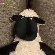 MAの画像
