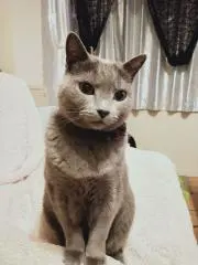 たまちゃの画像