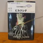 ふじ村植物(洋服)販売店の画像