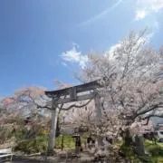 七海※最終値下げ中！！の画像