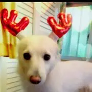 ともか