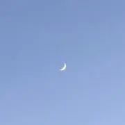 りんごの画像