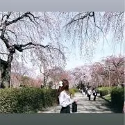 ゆめの画像