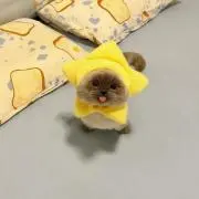 ‪‪❤︎‬