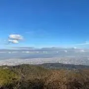 やまとの画像