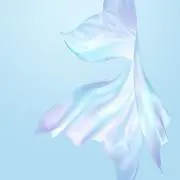 ame_25