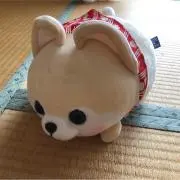 マサオ
