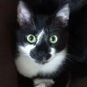 なおの画像