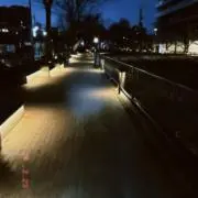 アトピーの画像