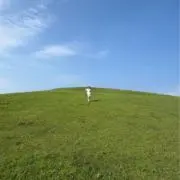 はまちゃんの画像