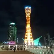 みーたんの画像