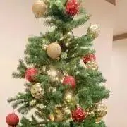 ★自己紹介を必ずお読み下さい★の画像