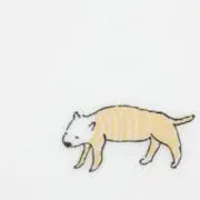 ゆるこの画像