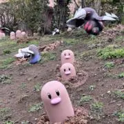おにぎりの画像
