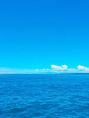 マサ