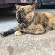 まぁちん。