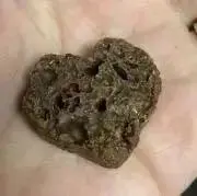 yuuの画像