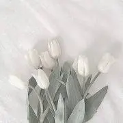 ほわいと .ˬ.♡︎ᵎᵎᵎ