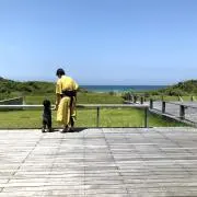 しー