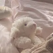 ぐみの画像