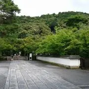 namazunonedokoの画像