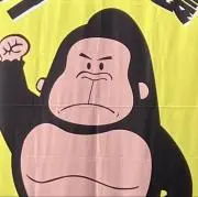 AB27 GORILLAの画像