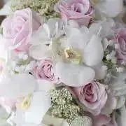✰