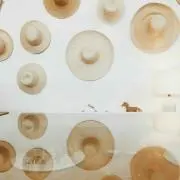 tomotoの画像