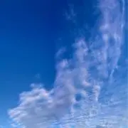 める★プロフ必読の画像