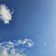 ての画像