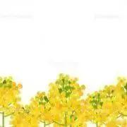 coco▲プロフお読み下さいの画像
