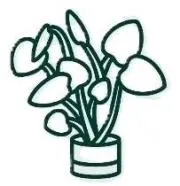 TRUST FLORAの画像
