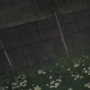 ぼく