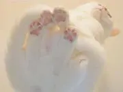一威の画像
