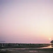 モモカ◇匿名配送◇1.2日で発送◇の画像