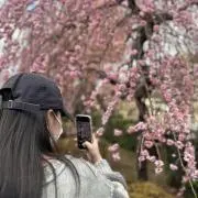 大掃除中！処分してます！の画像