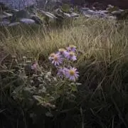 れおの画像