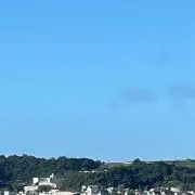 めいの画像