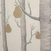 Saahraの画像