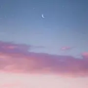 b-dの画像