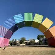 ライチの画像