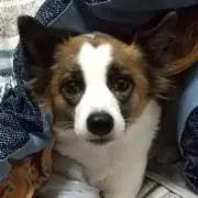 もち　【プロフ必読】の画像
