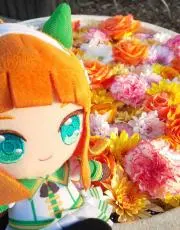 モヌの画像