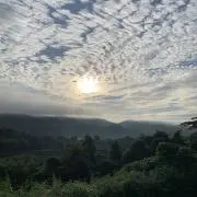 さくたろうの画像