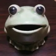 びぃの画像