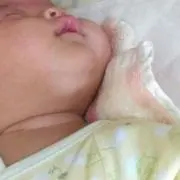 ぶりん☆