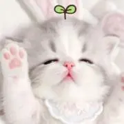 あいの画像