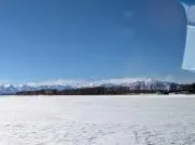 しおんの画像