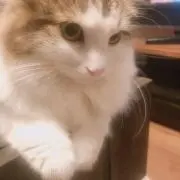 HIROの画像